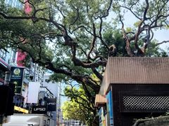 -海港城