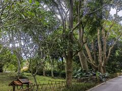 -中国科学院西双版纳热带植物园