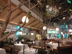 -桂满陇·海市蜃楼·黑金(国金店)