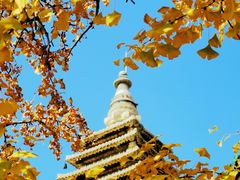 -北京石刻艺术博物馆(五塔寺)