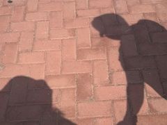 -大连圣亚海洋世界