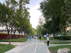 -回龙观体育文化公园