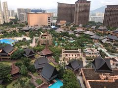 -海南椰子鸡餐厅(三亚湾红树林店)