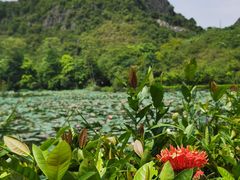 -南宁花花大世界景区