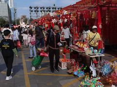 -越秀西湖花市(广州城市广场花卉店)