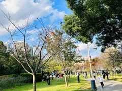 -新虹桥中心花园