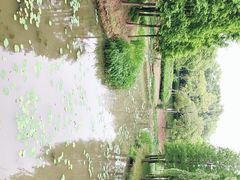 -尚贤河湿地