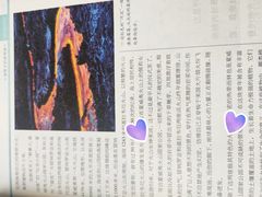 -夏威夷火山国家公园