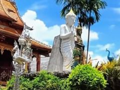 -西双版纳傣族园