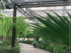 -南宫五洲植物乐园