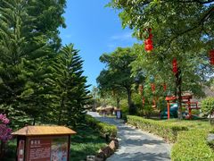 -森波拉火山温泉