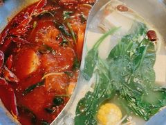 -辣伍鲜毛肚老火锅(元一店)