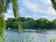 -WhaleSports户外水上运动俱乐部(朝阳公园店)