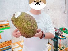 -海吉星市场