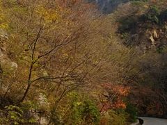 -北京上方山国家森林公园