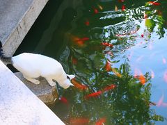 -苏州文旅花间堂·探花府酒店