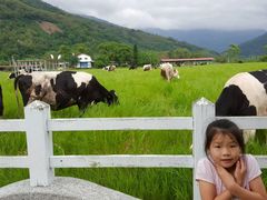 android_upload_pic-瑞穗牧场