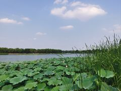 -素心小筑(后沙裕镇店)