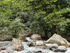 -西岭雪山大飞水景区