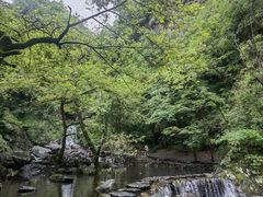 -石台牯牛降景区