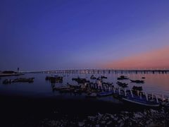 -海堤纪念公园
