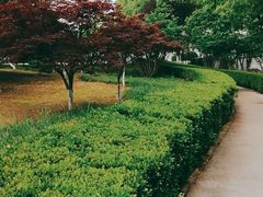 -中央公园(苏州工业园区)