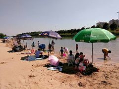-鹤之洲湿地公园
