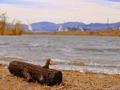 -永定河休闲森林公园