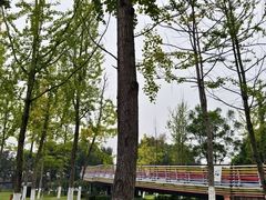 -府河摄影公园