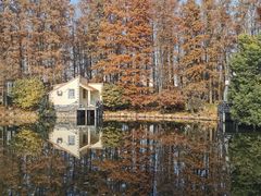 -上海共青森林公园