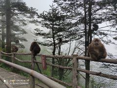 -峨眉山风景名胜区