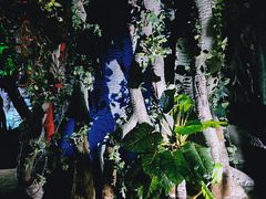 -泉城欧乐堡海洋极地世界