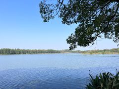 -东湖落雁景区