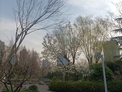 -新虹桥中心花园