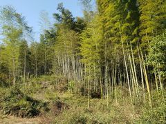 -小格里自然风景区