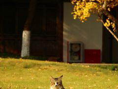 -上海交通大学(闵行校区)