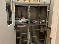 -爱妮康宠物医院·干细胞免疫细胞·肿瘤·心脏(张江店)