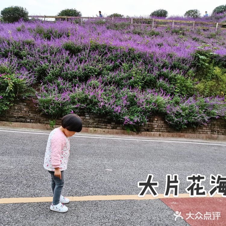 每一个孩子都是快乐的精灵～