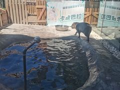 -廊坊固安福朋喜来登酒店