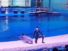 -华夏文旅西安度假区