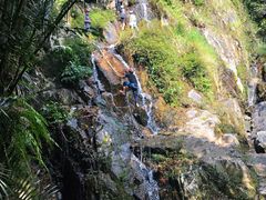 -呀诺达热带雨林