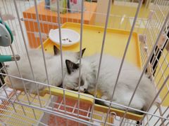 -五缘湾悦都汇购物中心