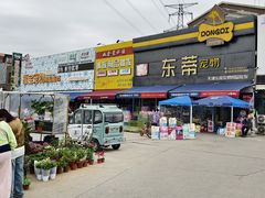 -中环花鸟鱼虫市场
