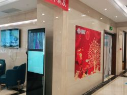 -碧莲盛·不剃发植发