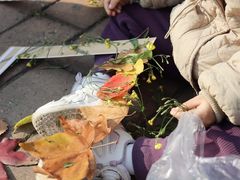 -北京市海淀区锦绣明天莲宝幼儿园