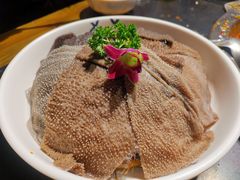 -大龙燚火锅(春熙店)