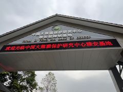 -中国大熊猫保护研究中心雅安碧峰峡基地