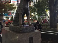 -涩谷区