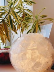 点击看大图 -WENDY·温迪皮肤管理