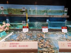 -喜棠·长沙家宴·海鲜·湘菜(麓谷店)